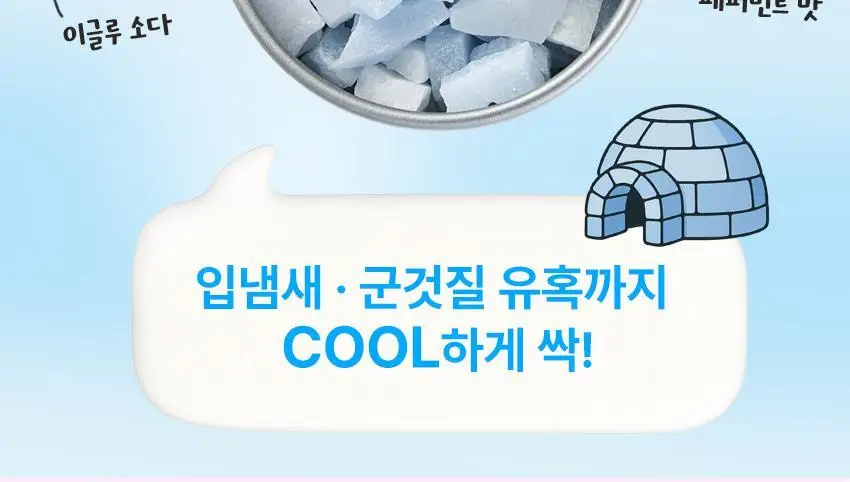 [핑구Pick]투스티 자일리톨 유산균 캔디 70g 2종 택1(스노우이글루 / 과일파르페) 상세페이지 7